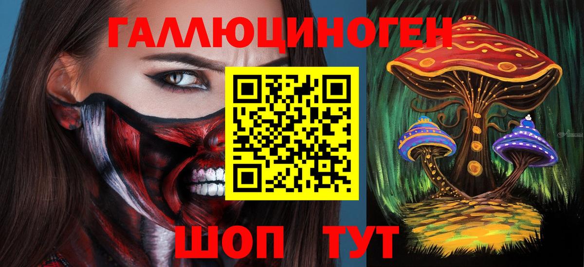 Псилоцибиновые грибы GOLDEN TEACHER Чита