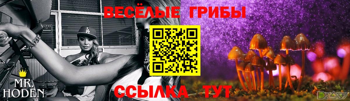 Чита  Галлюциногенные грибы Magic Shrooms  как найти   Вход с VPN 